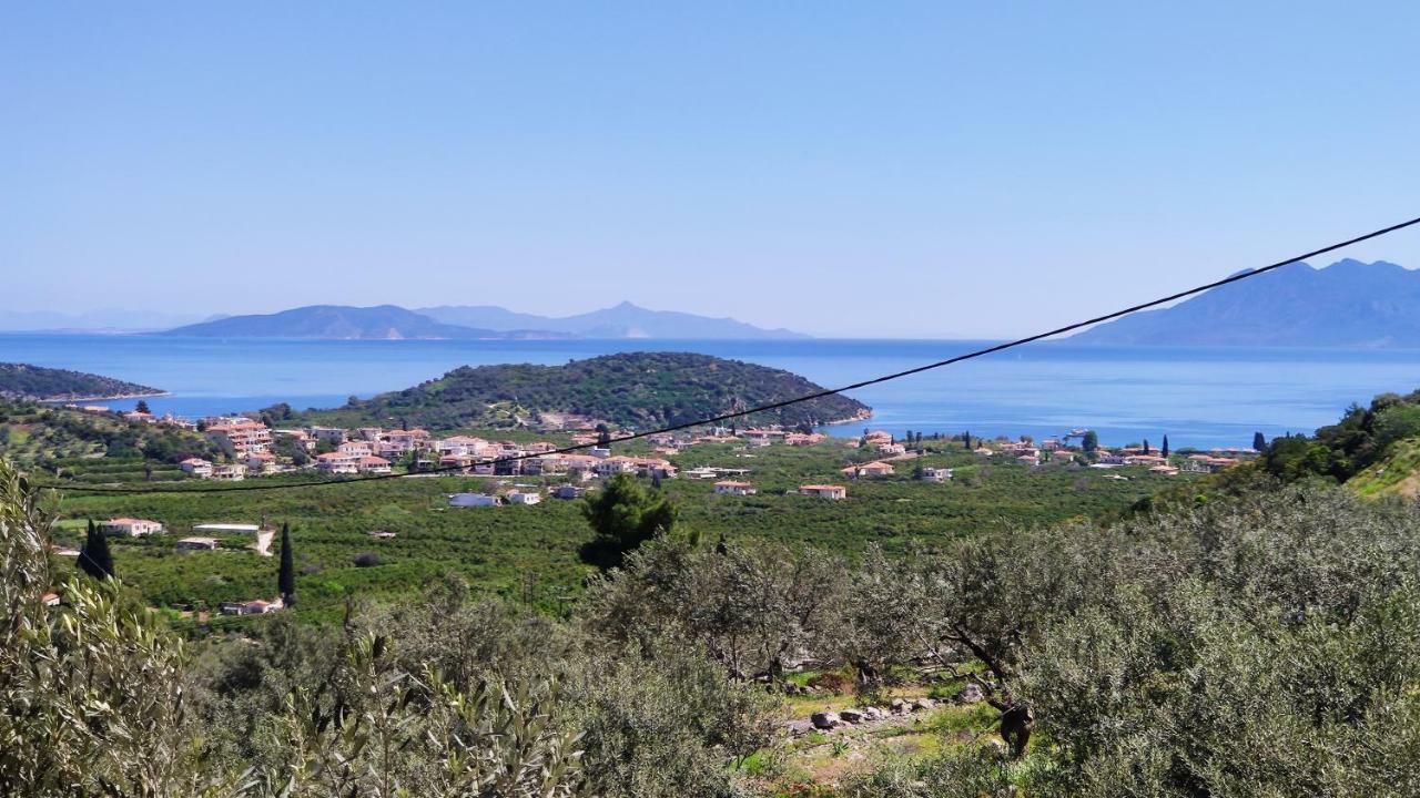 Aricobe Villa Epidaurus Dış mekan fotoğraf